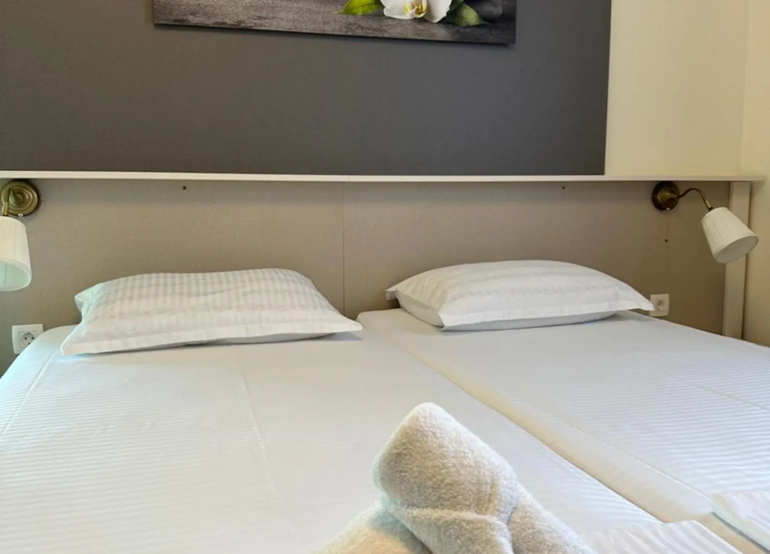 Luxury Apartments Vili Umag